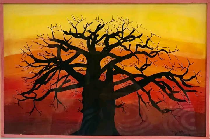 baobab